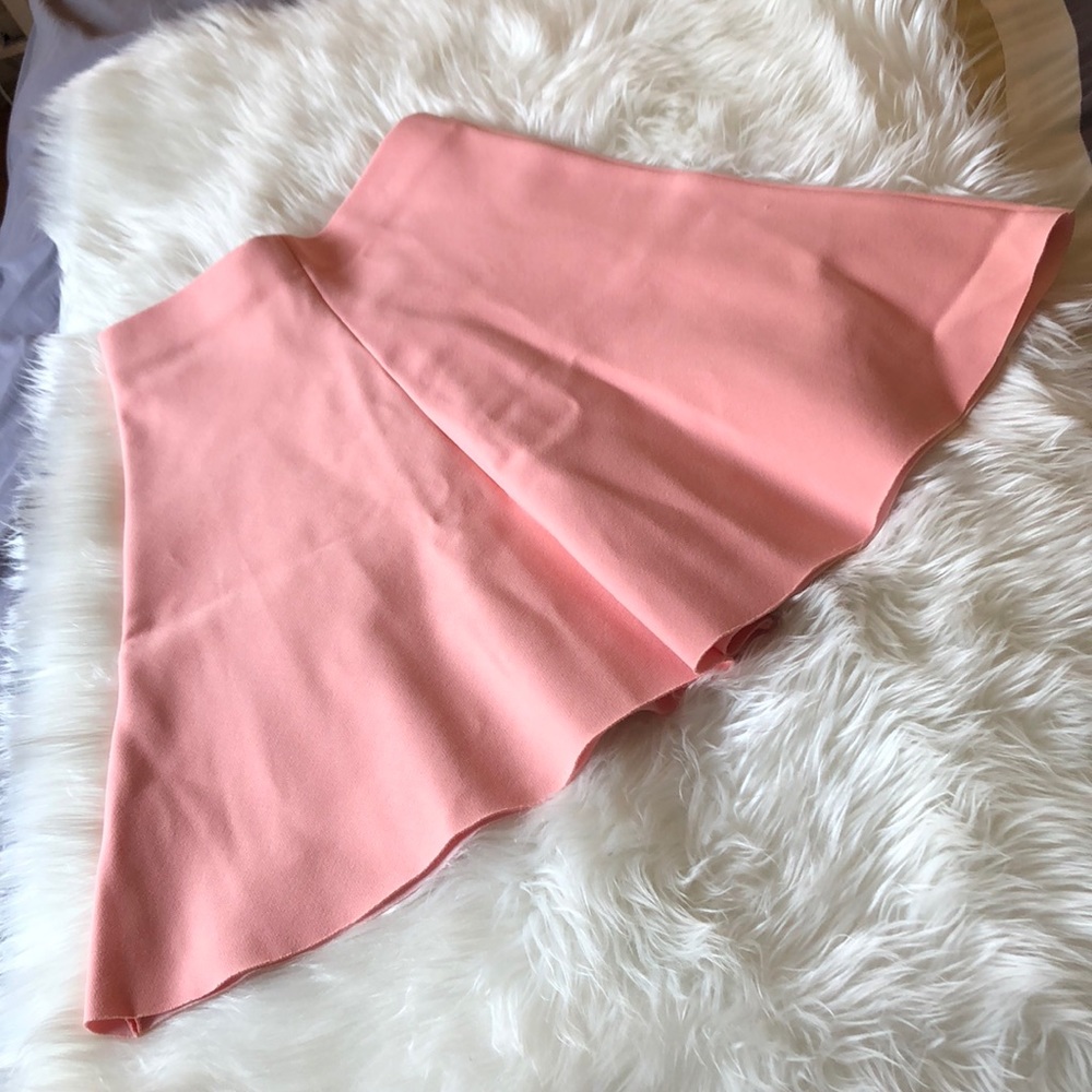 Zara skirt New with tags